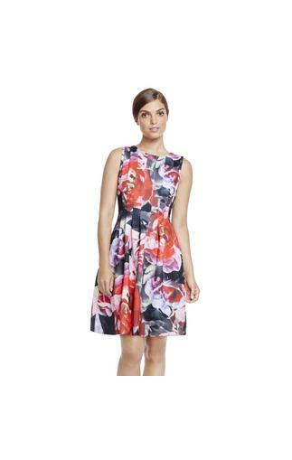 Vince Camuto Vince Camuto Release Pleat Rose Print Scuba Dress
