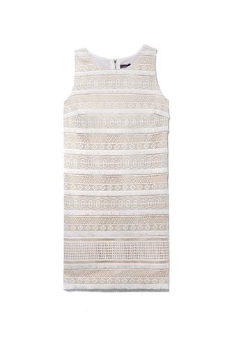 Vince Camuto Geo Lace Shift