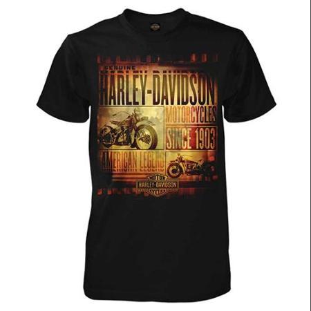 Harley-davidson X-large Men's Short Sleeve T-shirt, Frames H-d Script Tee, Black 30293752