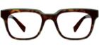 Warby Parker Eyeglasses - Winston In Cognac Tortoise Lagoon