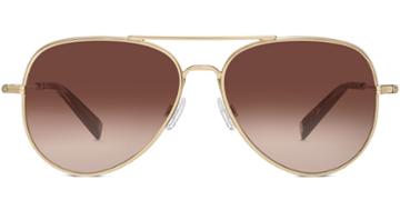Raider M Sunglasses In Gold (brown Rx)