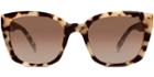 Aubrey F Sunglasses In Marzipan Tortoise (brown Rx)
