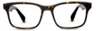 Warby Parker Eyeglasses - Cass In Whiskey Tortoise