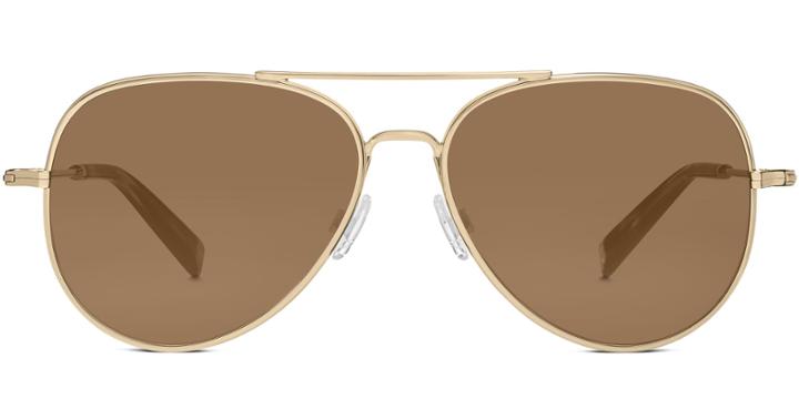Raider F Sunglasses In Gold (brown Rx)