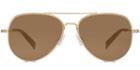 Raider F Sunglasses In Gold (brown Rx)
