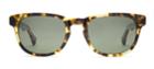 Warby Parker Sunglasses - Preston In Gimlet Tortoise