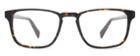 Warby Parker Eyeglasses - Bensen In Whiskey Tortoise