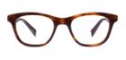 Warby Parker Eyeglasses - Greenleaf In Woodgrain Tortoise