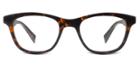 Warby Parker Eyeglasses - Greenleaf In Whiskey Tortoise