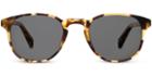 Downing M Sunglasses In Walnut Tortoise (grey Rx)
