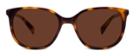 Warby Parker Sunglasses - Laurel In Oak Barrel