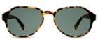 Warby Parker Sunglasses - Oxley In Walnut Tortoise