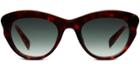 Warby Parker Sunglasses - Grace In Red Canyon