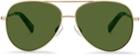 Warby Parker Sunglasses - Batten In Polished Gold