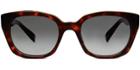 Warby Parker Sunglasses - Penrose In Red Canyon