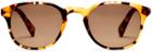 Warby Parker Sunglasses - Downing In Walnut Tortoise