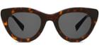 Warby Parker Sunglasses - Dorothy In Cognac Tortoise
