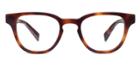 Warby Parker Eyeglasses - Coley In Woodgrain Tortoise