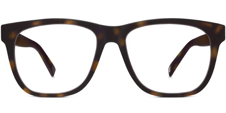 Lowry M Eyeglasses In Tortoise Matte Eclipse Rx