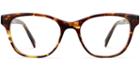 Amelia F Eyeglasses In Root Beer (rx)