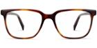 Hayden M Eyeglasses In Rye Tortoise (rx)