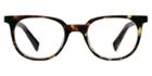 Warby Parker Eyeglasses - Keene In Burnt Lemon Tortoise