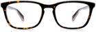 Warby Parker Eyeglasses - Welty In Whiskey Tortoise