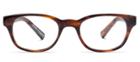 Warby Parker Eyeglasses - Webb In Amber