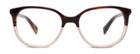 Warby Parker Eyeglasses - Laurel In Tea Rose Fade