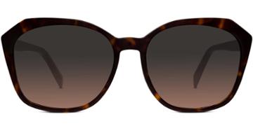 Nancy F Sunglasses In Cognac Tortoise (brown Rx)