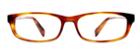 Warby Parker Eyeglasses - Nedwin In Cedar Tortoise