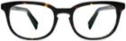 Warby Parker Eyeglasses - Walker In Whiskey Tortoise