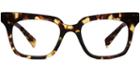 Warby Parker Eyeglasses - Casey In Burnt Lemon Tortoise