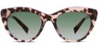 Warby Parker Sunglasses - Tilley In Petal Tortoise