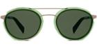 Warby Parker Sunglasses - Reed In Green Spruce