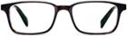 Warby Parker Eyeglasses - Crane In Whiskey Tortoise