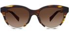 Warby Parker Sunglasses - Piper In Striped Sassafras With Crystal
