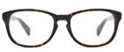Warby Parker Eyeglasses - Dale In Whiskey Tortoise