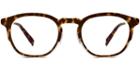 Tate M Eyeglasses In Hazelnut Tortoise Matte With Silver Rx