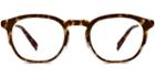 Tate M Eyeglasses In Hazelnut Tortoise Matte With Silver Rx