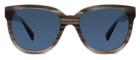 Warby Parker Sunglasses - Reilly In Sparrow Grey