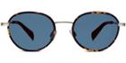 Warby Parker Sunglasses - Henry In Whiskey Tortoise