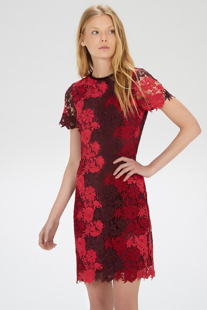 Warehouse All Over Lace Dress