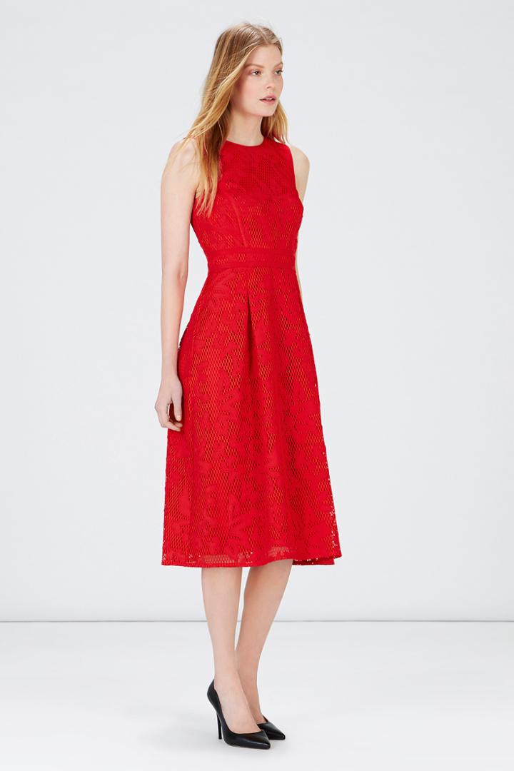 Warehouse Applique Lace Midi Dress