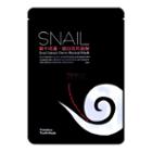 Timeless Truth Mask Timeless Truth Snail Extract Derm-revival Mask 1sheet