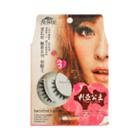 All Belle Priness Leah Specialized Eyelashes B4181 3pairs
