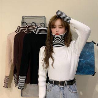 Striped Panel Turtleneck Rib Knit Top