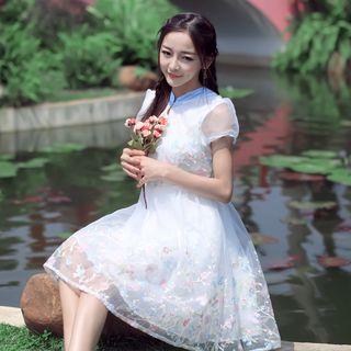 Flower Embroidered Short Sleeve Mesh Dress