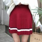 Striped Pleated Knit Skirt