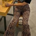 Leopard Printed Boot-cut Pants